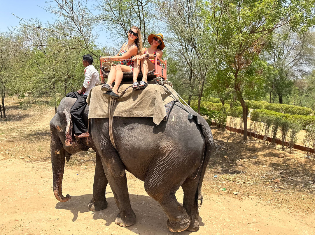 Elefriend-Amer必去景点