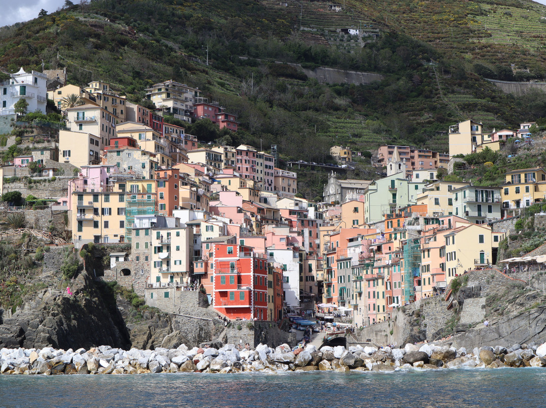 Cinque Terre Ferries景点图片