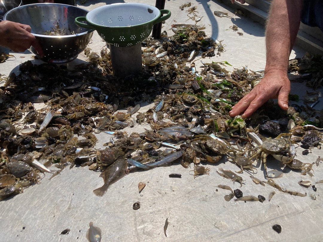 Jan Rotgans-Den Oever必去景点