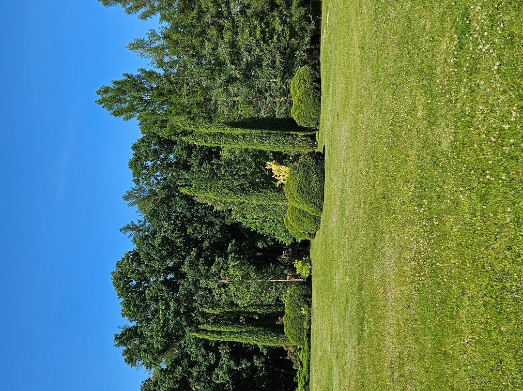 Arboretum Wirty景点图片