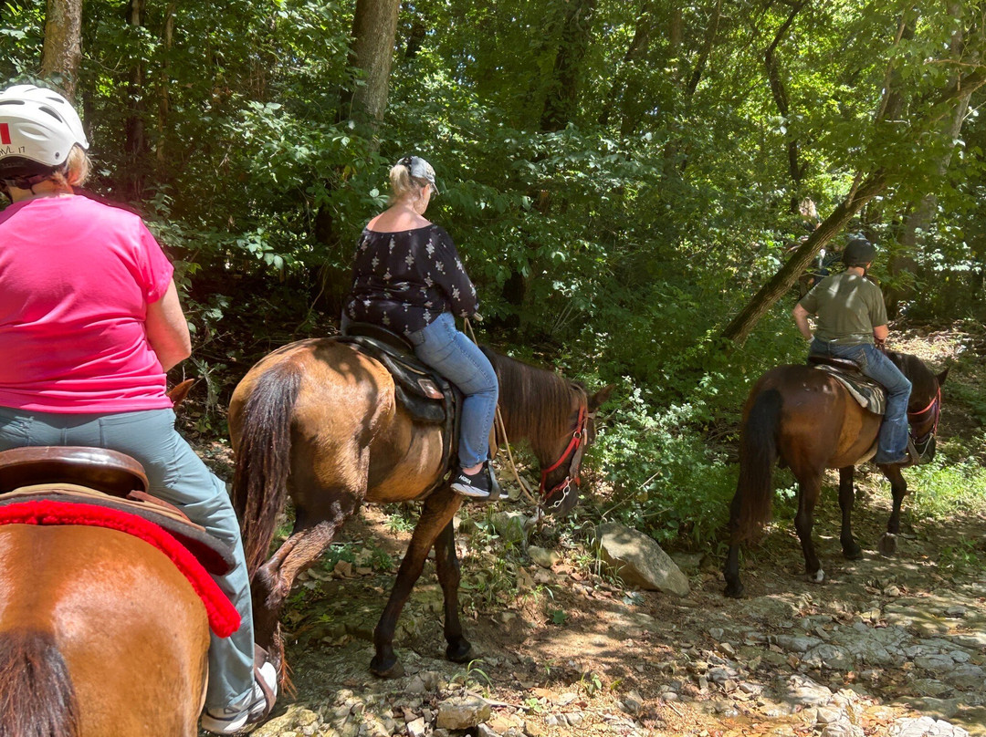 Bear Creek Trail Rides and Stable-Walnut Shade必去景点