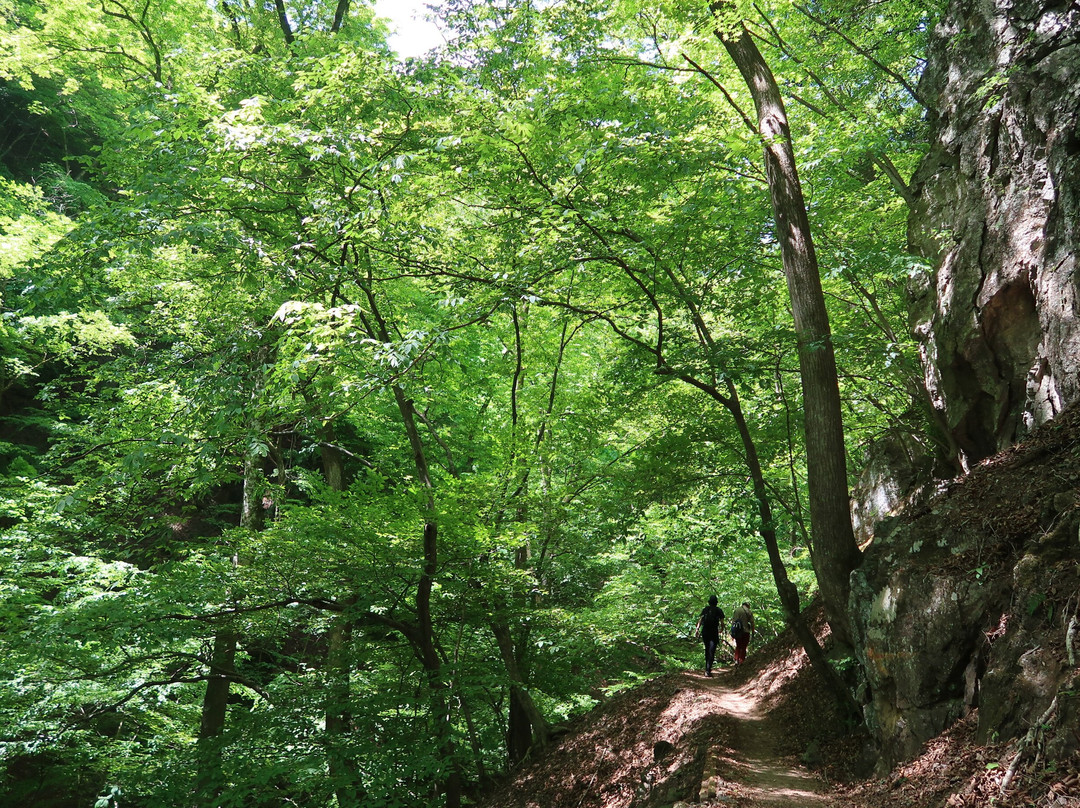Mt. Ryokami-秩父市必去景点