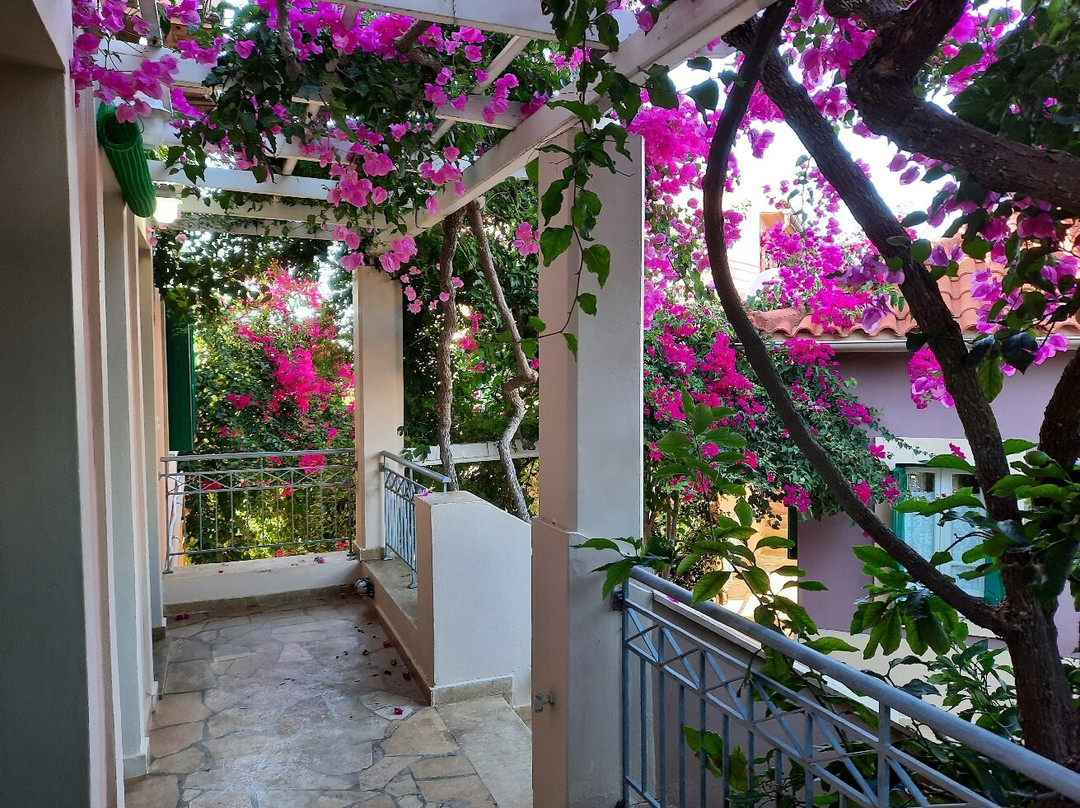 达夫诺迪公寓酒店主图