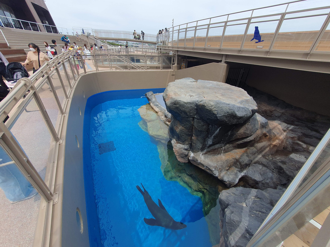 Aqua World Ibaraki Prefectural Oarai Aquarium景点图片