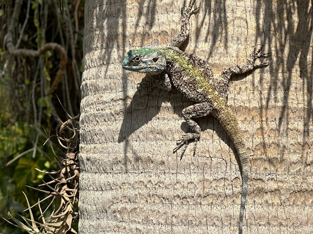 努比花园套房酒店主图