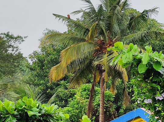 Chances Resort And Casino An Indy Resort主图