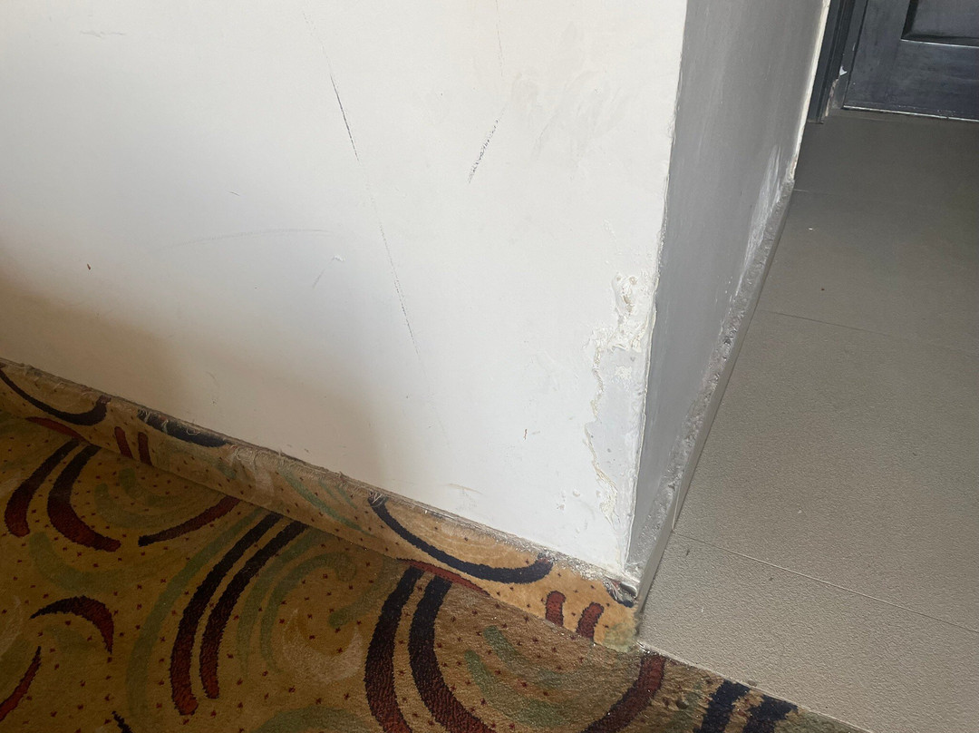 Hotel Patnitop Heights主图