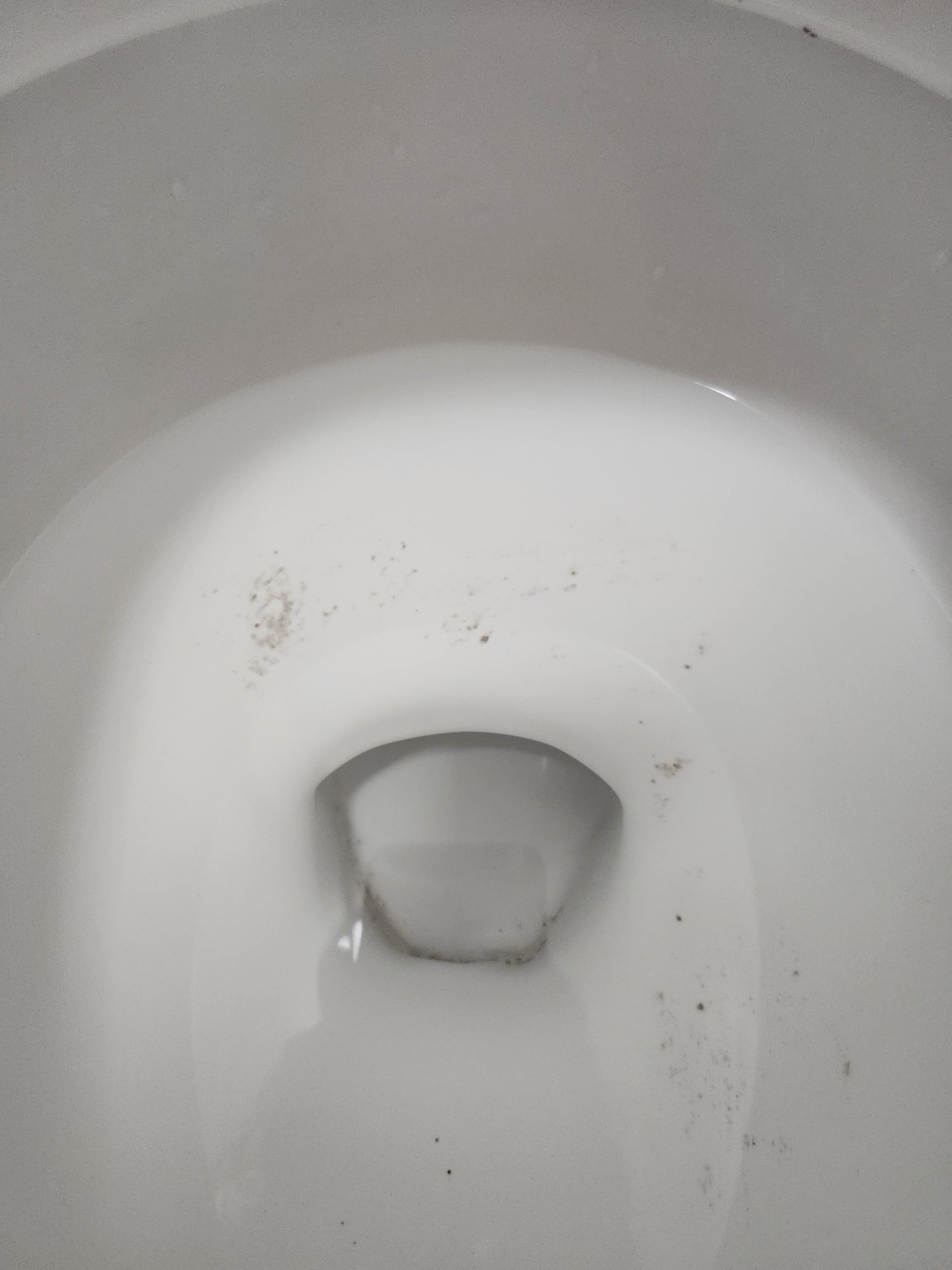 Red Roof PLUS+ University at Buffalo Amherst-客卧