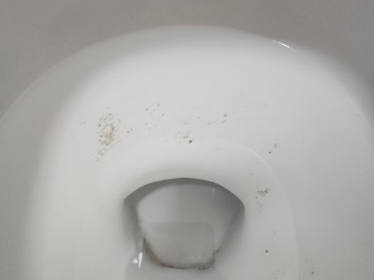 Red Roof PLUS+ University at Buffalo Amherst主图