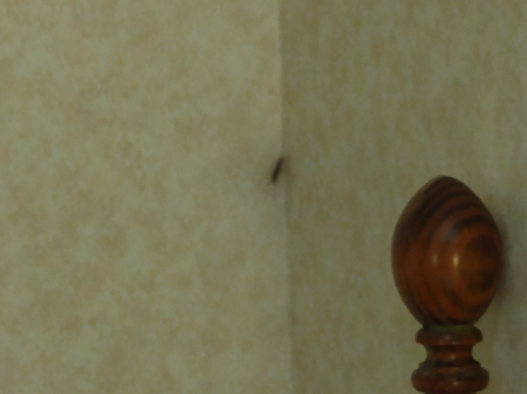 米尔斯特姆乡村汽车旅馆主图