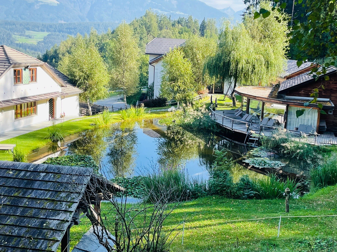 Naturhotel Saalerwirt主图