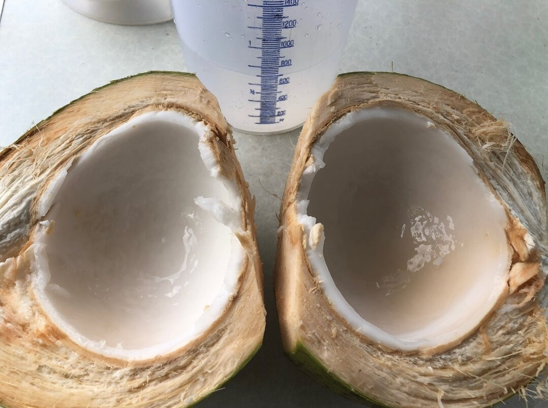 Es Kelapa Muda Dik Sabay