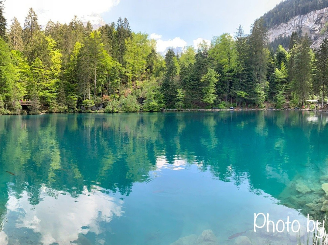 Nature Park Blausee景点图片