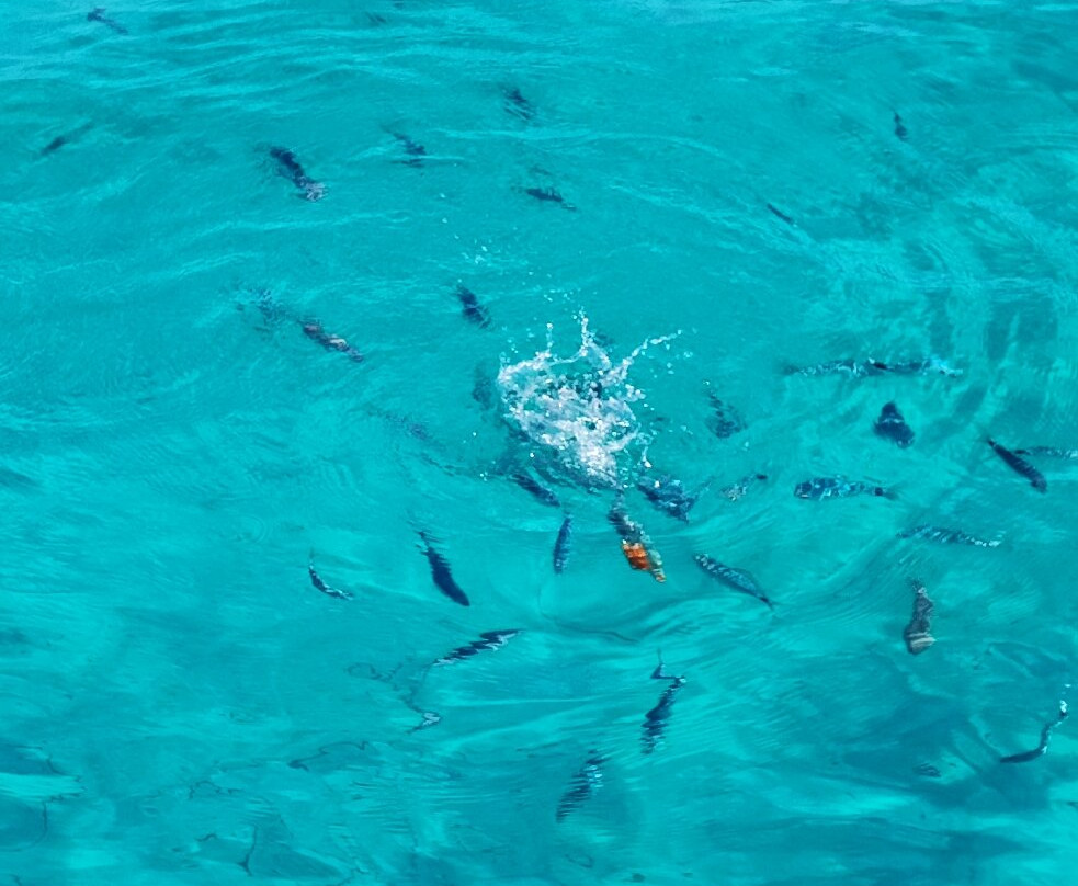 Alfa Boat Rental-Vourvourou必去景点