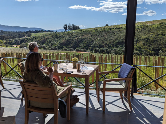 The Wine Specialists-斯泰伦博斯必去景点