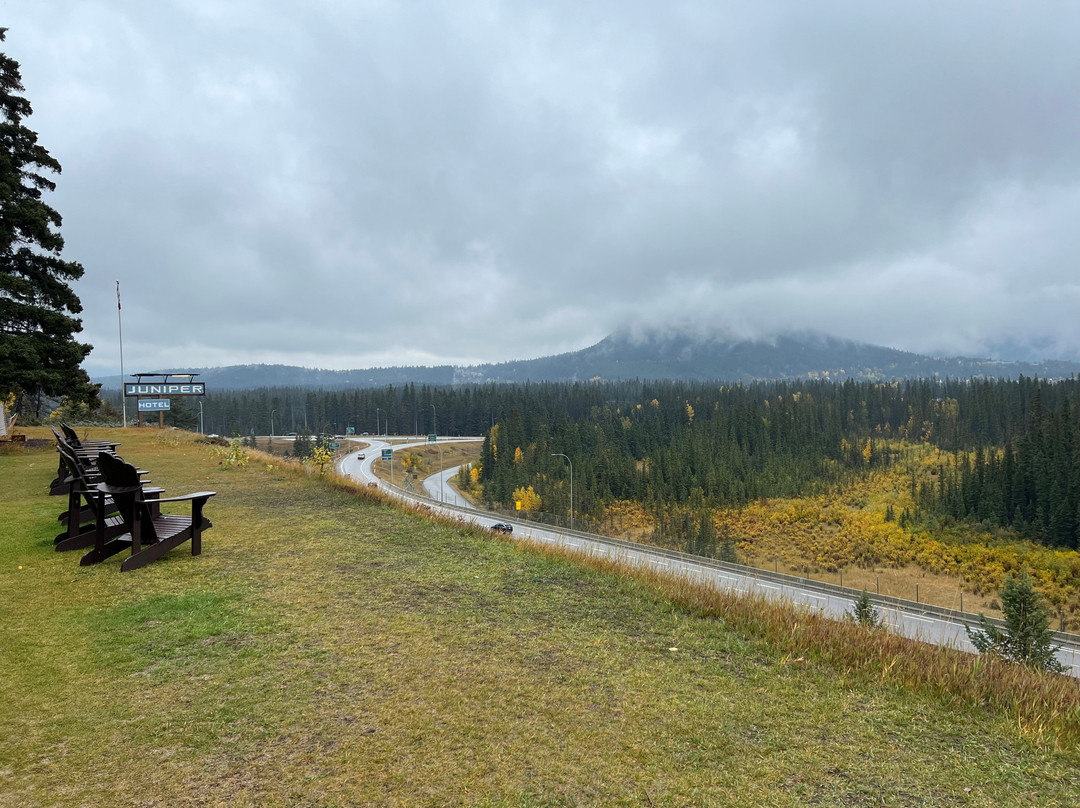 杜松子酒店主图