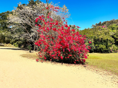 Ngala Beach Lodge主图