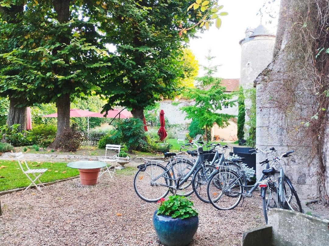 Le Relais Louis XI主图