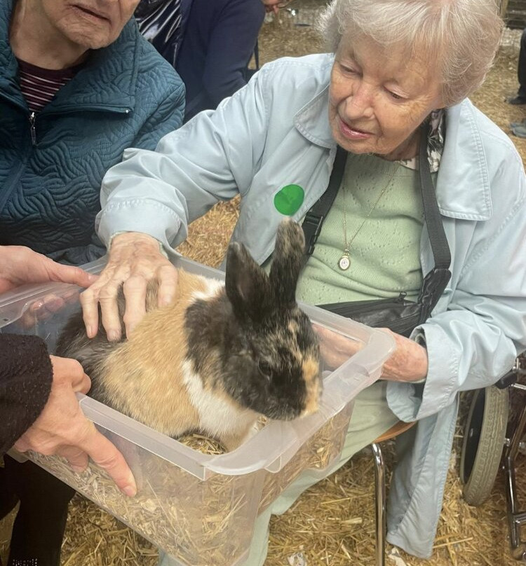 Chew Valley Animal Park景点图片