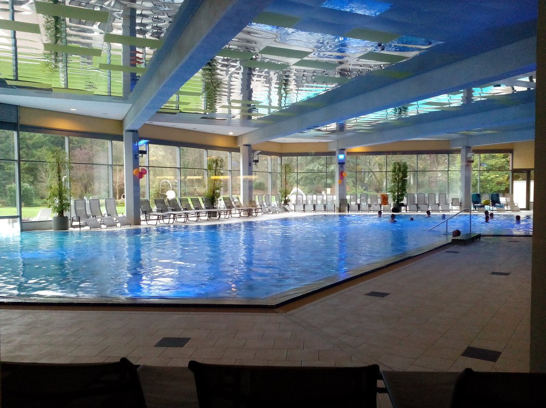 Südpfalz Therme景点图片
