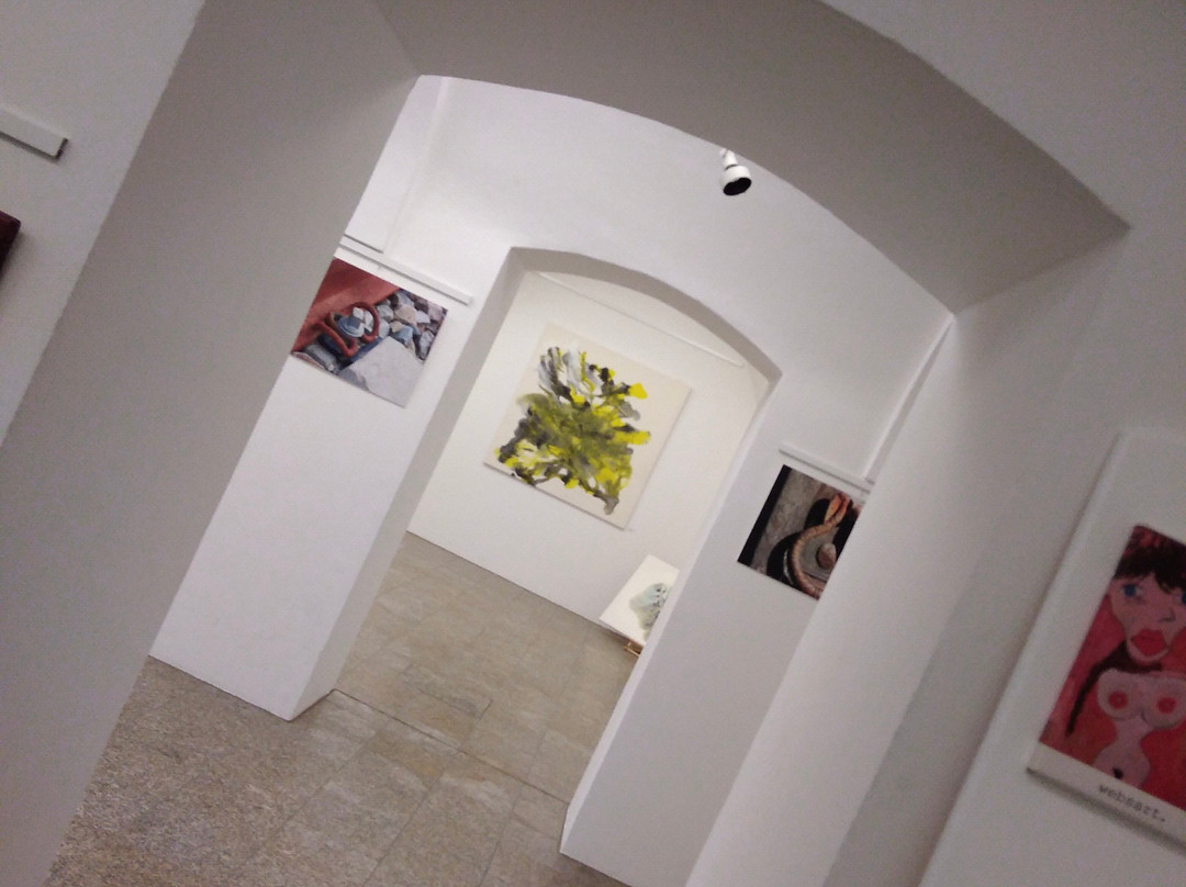 Rathausgalerie - Vilshofen an der Donau景点图片