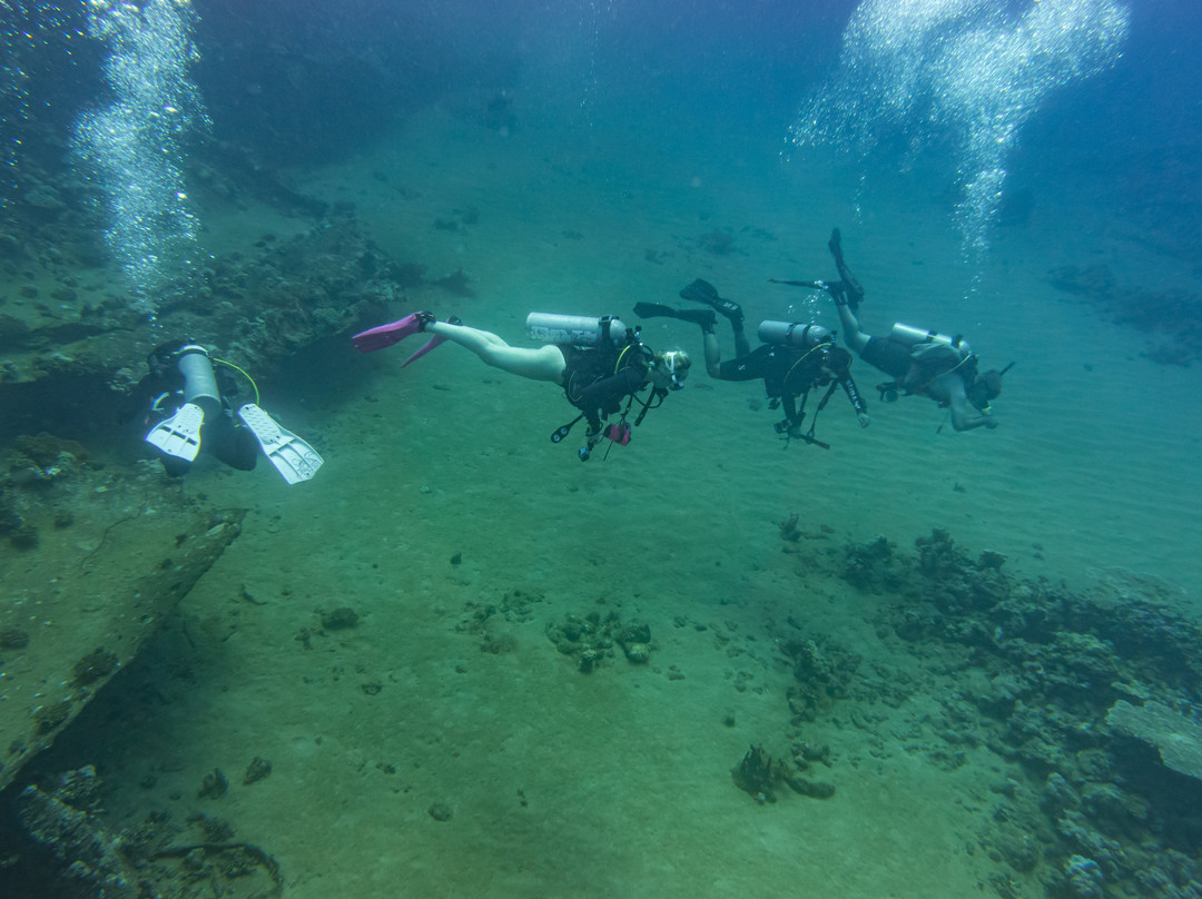 Fins & Flash-吉达必去景点