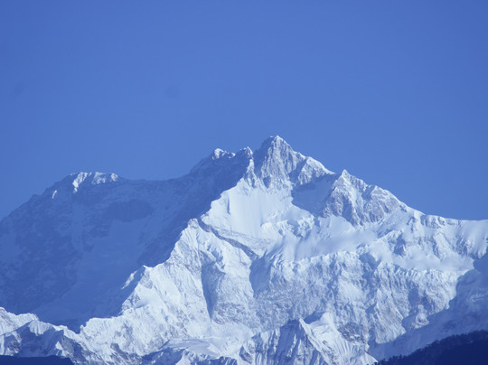 Retreat Crassula Ovata主图