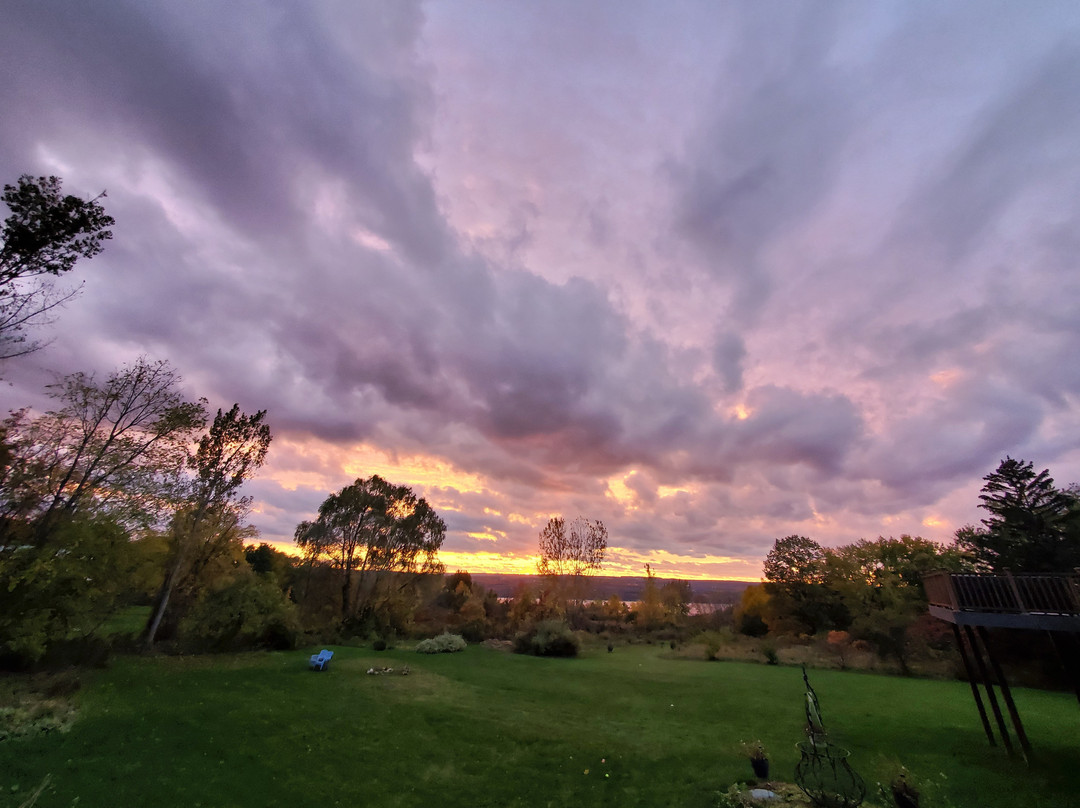 The Fox and the Grapes Bed and Breakfast主图