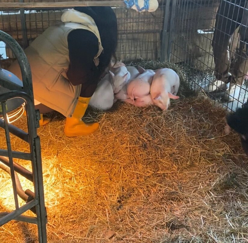 Aldor Acres Family Farm-兰里市必去景点