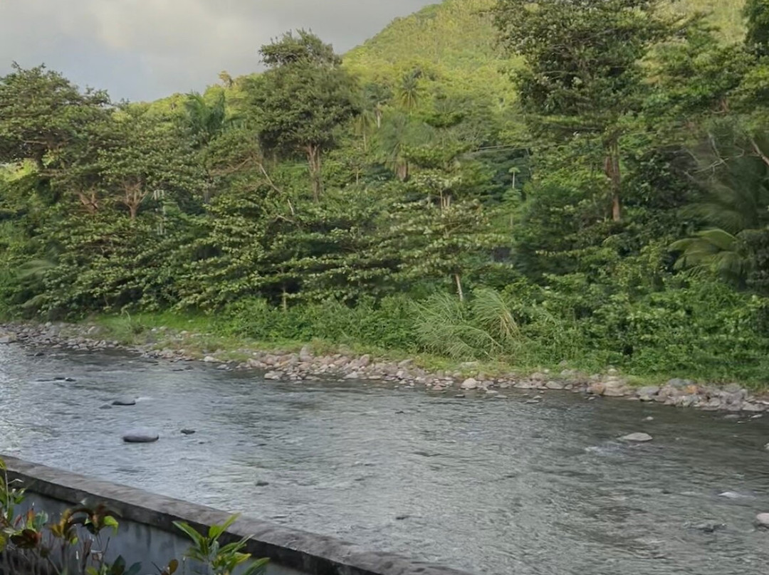 Rosalie Bay Eco Resort & Spa主图