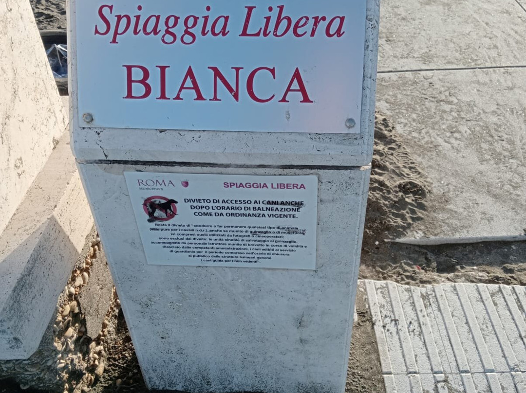 Spiaggia libera Bianca-Lido di Ostia必去景点