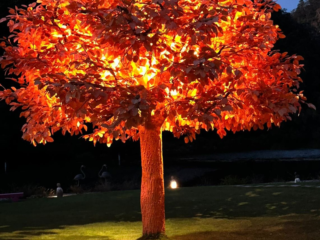 Sierra Lago Resort & Spa主图