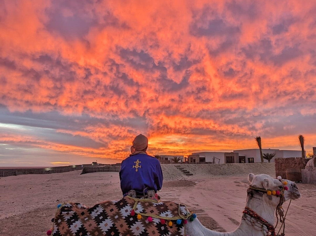 Tacapes Tours Tunisia-杰尔巴岛必去景点