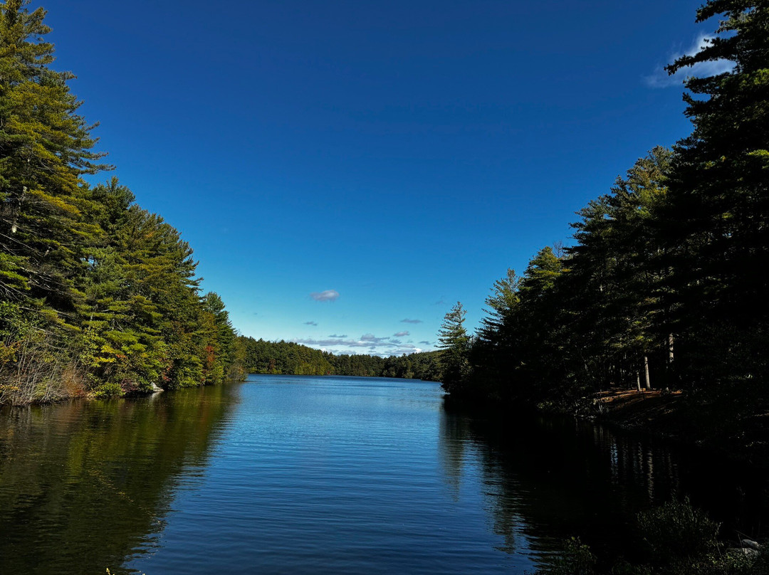 Fairfield Inn & Suites Boston Marlborough/Apex Center主图