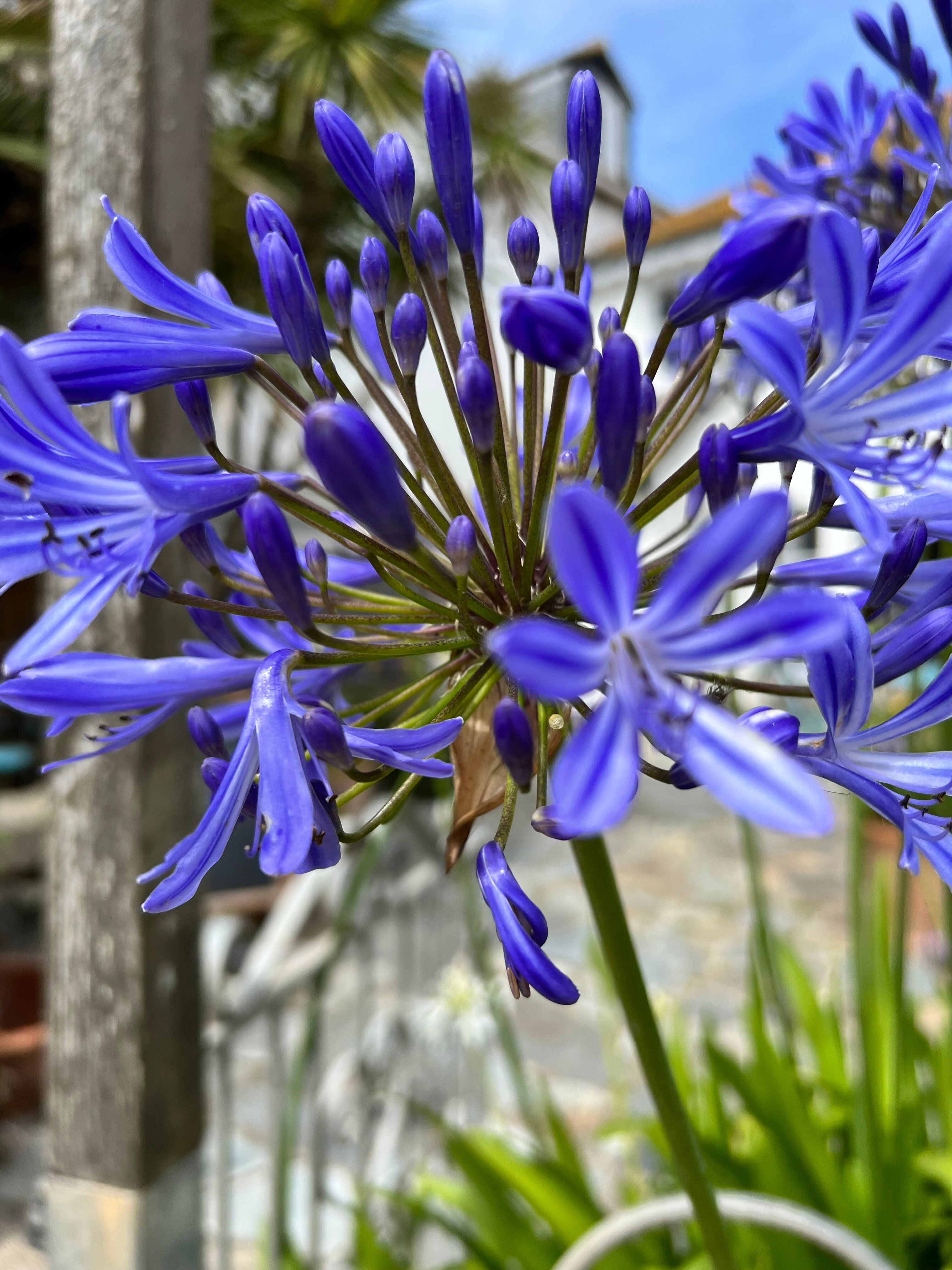 Marazion Hotel-浴室