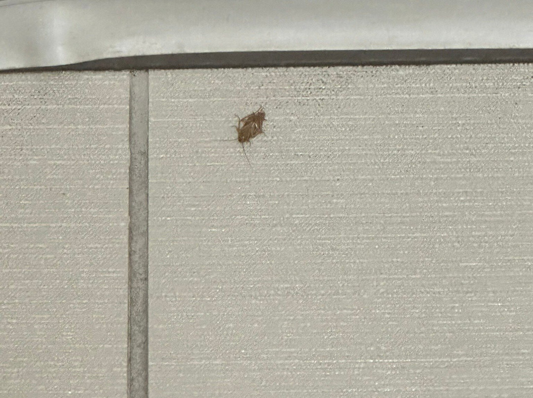 Holiday Inn Express & Suites Jackson/Pearl Intl Airport by IHG主图