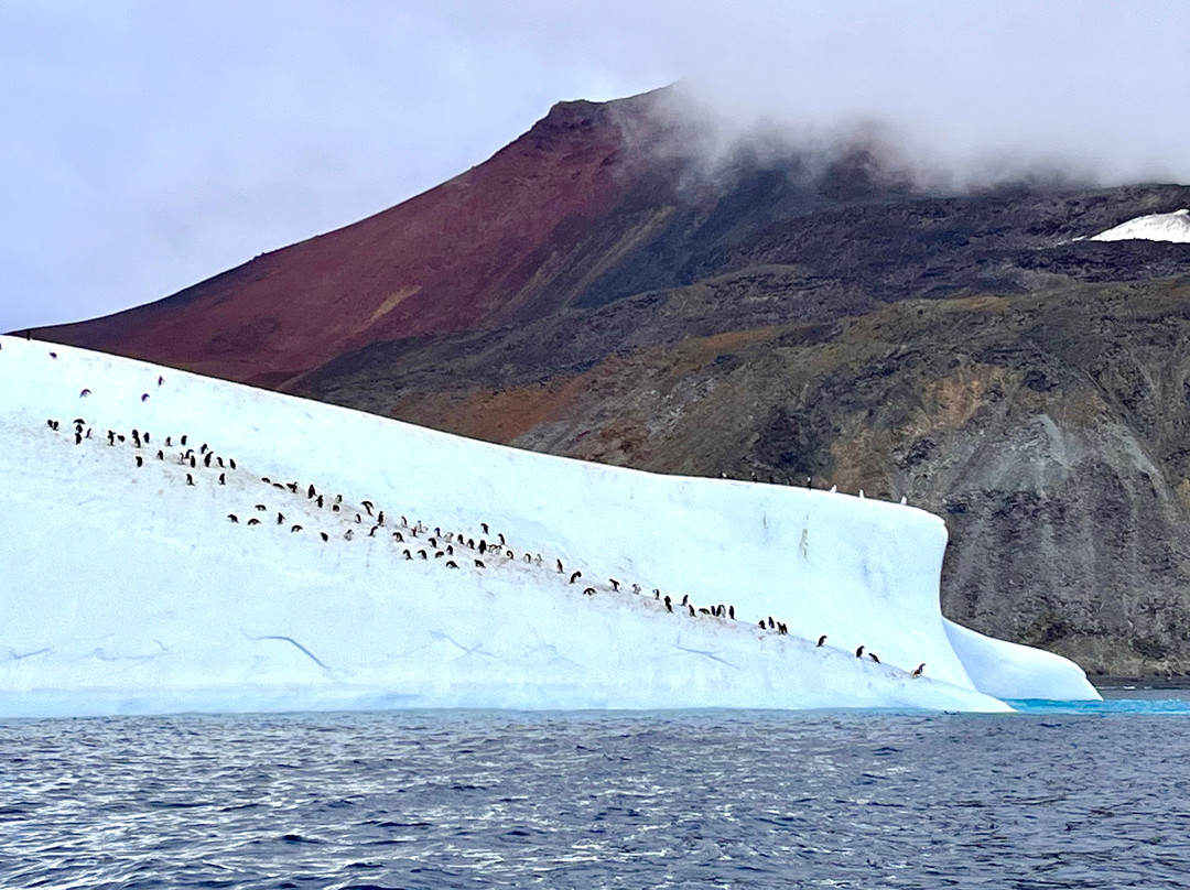 Cierva Cove-Antarctic Peninsula必去景点