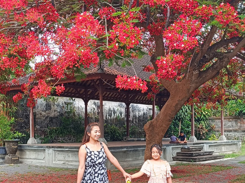 Bali Esa Driver-库塔必去景点