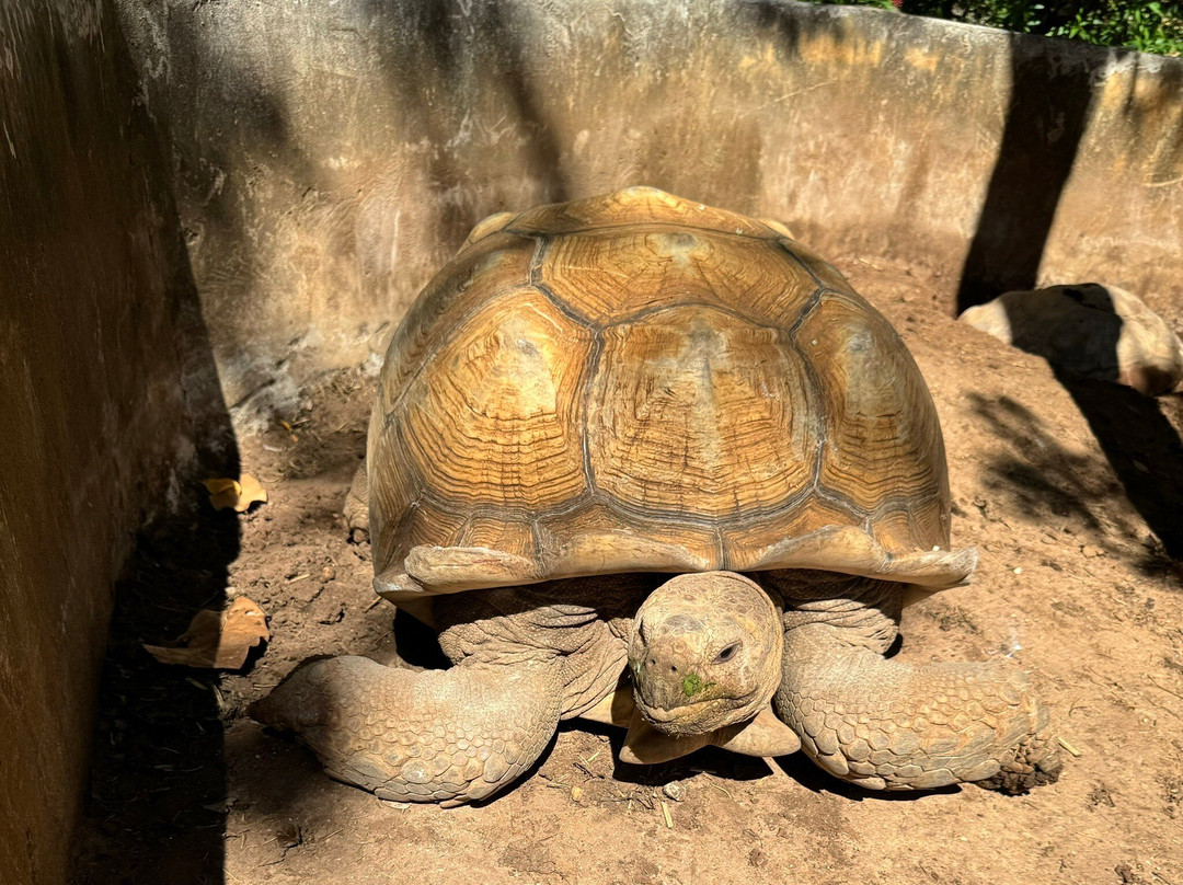 The Bonanza Exotic Zoo景点图片