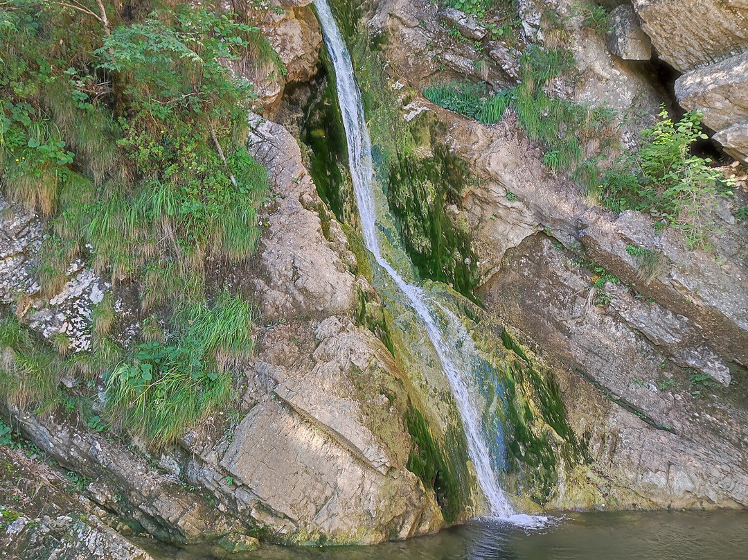 Pekel Gorge-Borovnica必去景点