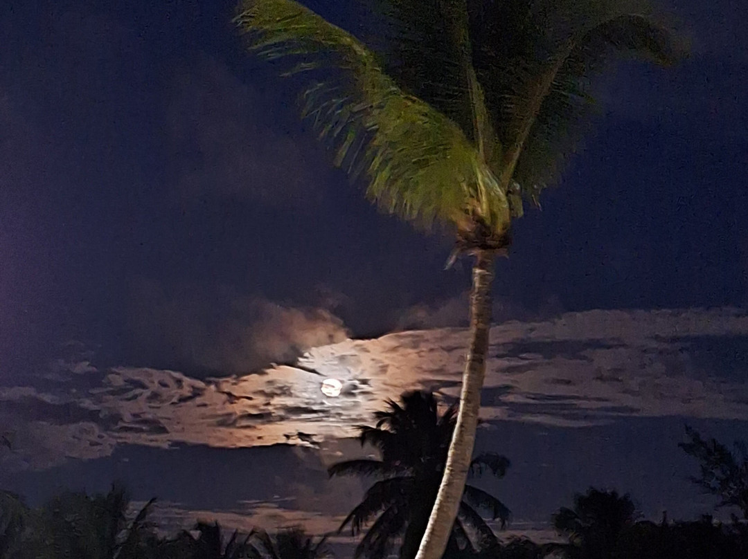 Piriquara Beach (Coqueiros)-Paracuru必去景点