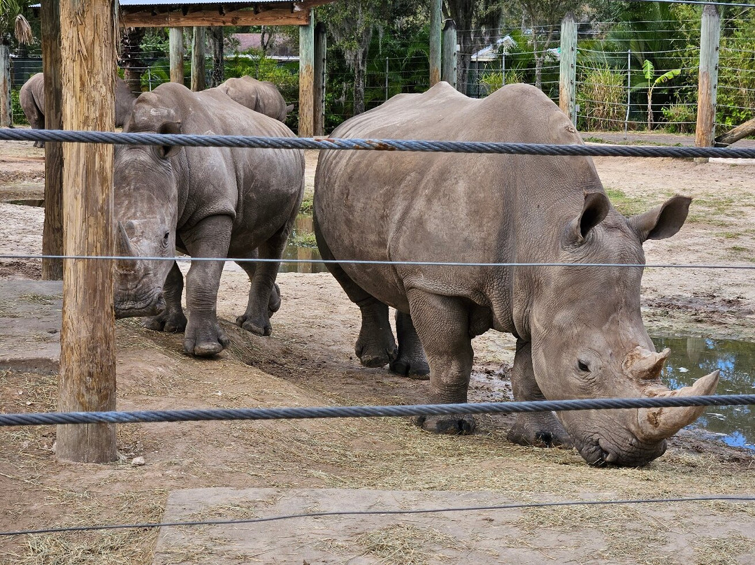 罗瑞公园动物园-坦帕必去景点