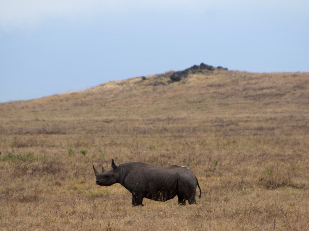 Tour with Kunta-阿鲁沙必去景点