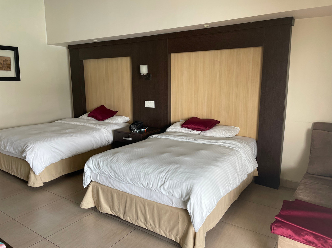 The Beach House主图