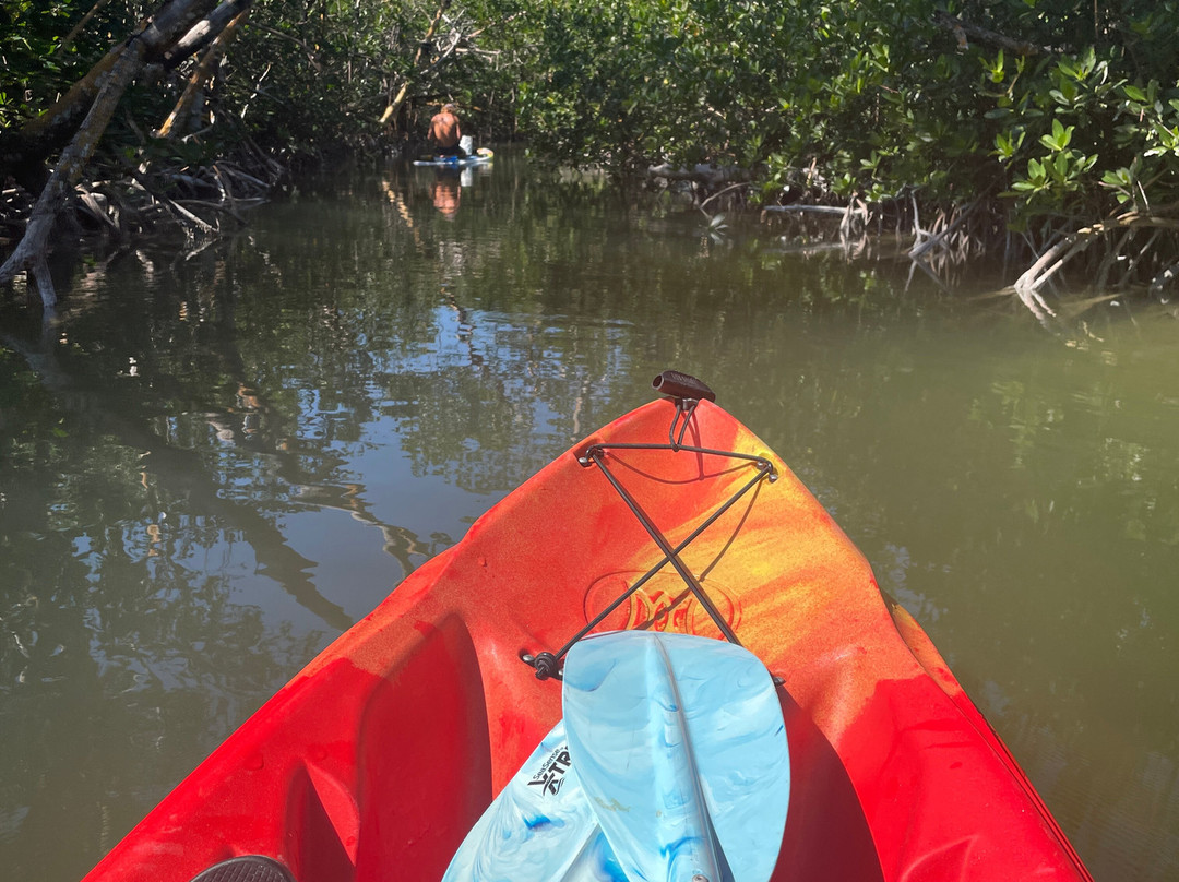 Florida Keys Kayak and Paddleboard景点图片