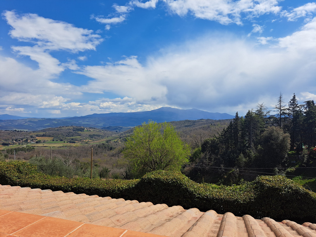 SI Montalcino Hotel & Restaurant主图