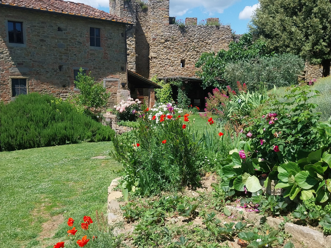 Castello di Montecchio Vesponi景点图片