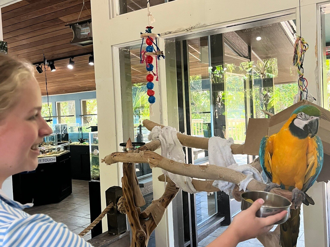 Amelia Island Nature Center-阿米莉亚岛必去景点