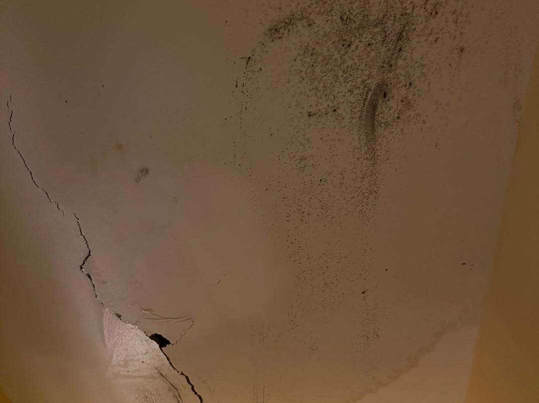 George Brooks House Bed & Breakfast主图