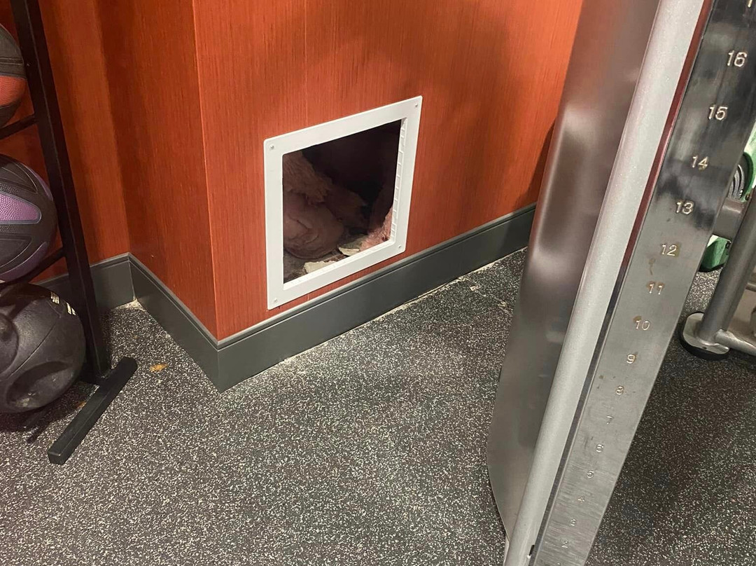 马斯基根希尔顿恒庭酒店主图